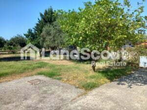 House in Agrilia outside view 4